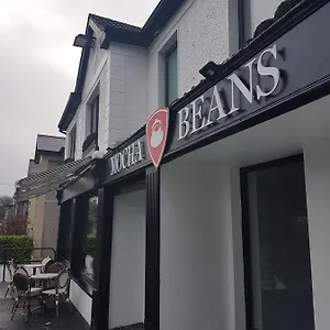 Mocha Newcastle Galway